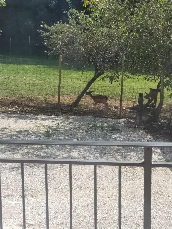 Alloggio E Agriturismo De Poanute Faedis Exteriör bild